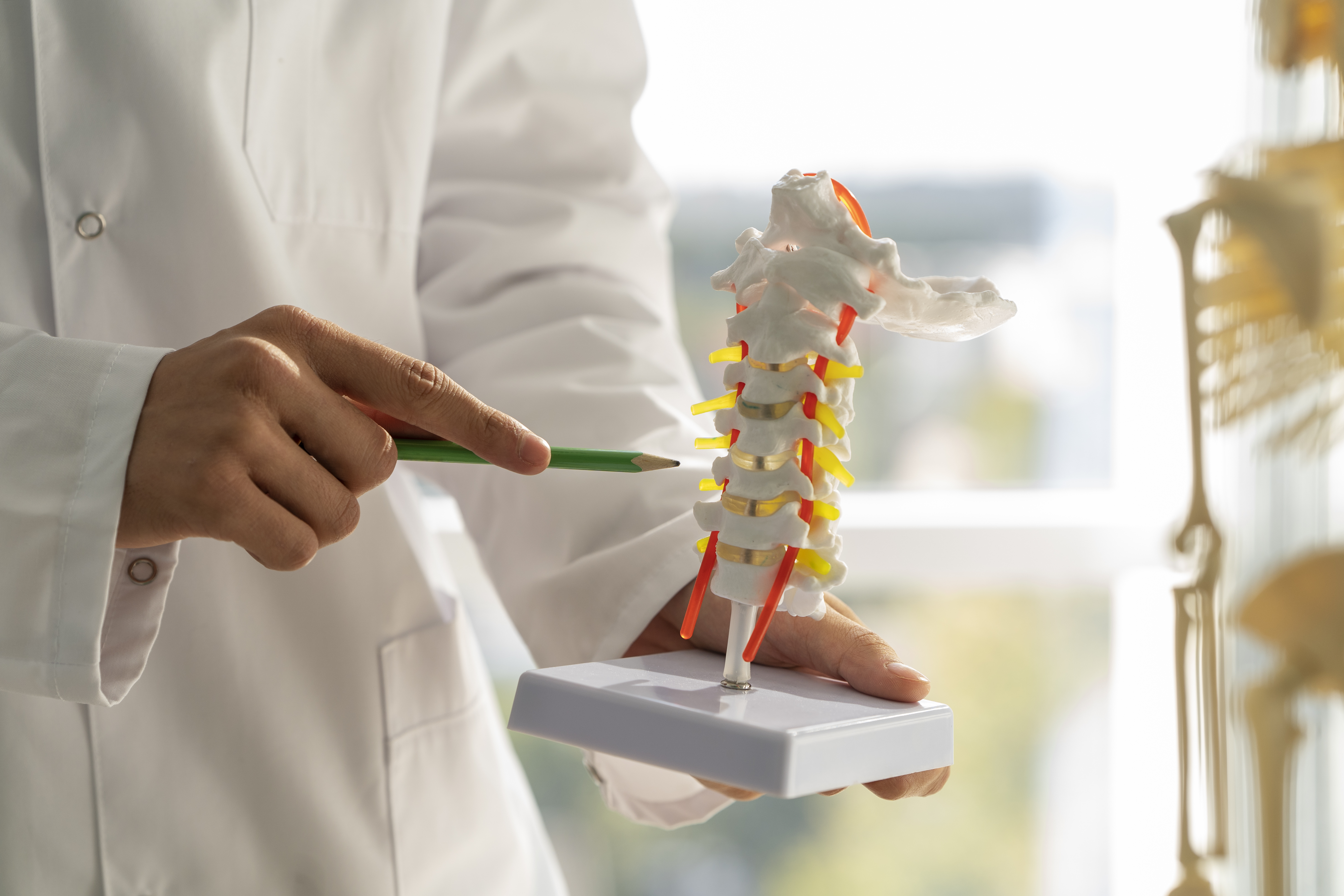 best chiropractic billing services