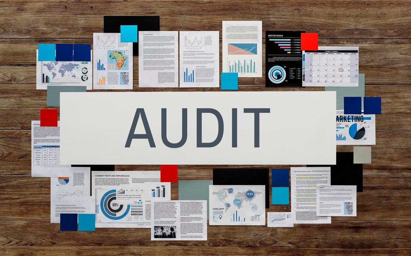 claim and audit services